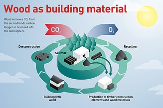 Sustainable resource use and reuse of wood in construction Graphic explaining the process of wood as a building material