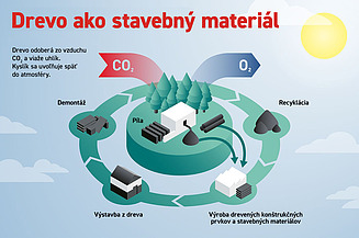 Grafika vysvetľujúca proces výroby dreva ako stavebného materiálu