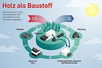 Grafik, die den Prozess von Holz als Baustoff erklärt