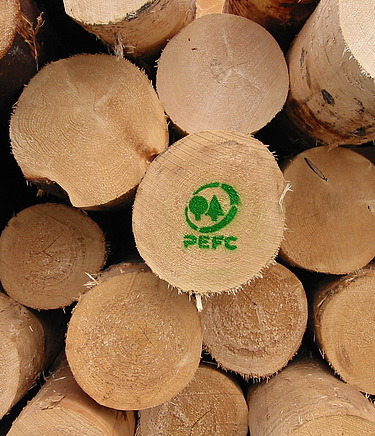 Značka PEFC zaručuje drevo z lesov obhospodarovaných trvalo udržateľným spôsobom Fotografia dreva overeného PEFC