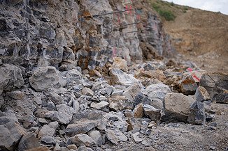 Photo of shell limestone from the Karlsruhe hillside