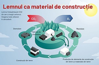 Grafic care explică procesul de utilizare a lemnului ca material de construcție